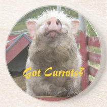 Cute and funny Pig Coaster