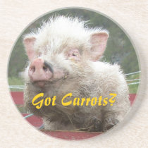 Cute and funny Pig Coaster