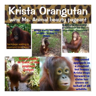Cute Animal Beauty Pageant Queen print