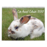 cute animals 2012 calender wall calendar