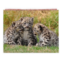 CUTE ANIMALS 2013 CALENDAR
