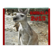 CUTE ANIMALS 2013 CALENDAR