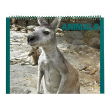 CUTE ANIMALS 2013 CALENDAR