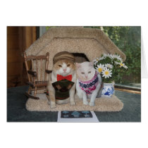 Cute anniversary with cats in argyle sweaters cards