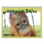 Cute Apes Wildlife Calendars