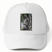 Cute Appaloosa Horse Baseball Hat