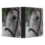 Cute Appaloosa Horse Binder