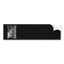 Cute Appaloosa Horse Bumper Sticker