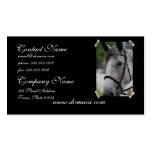 Cute Appaloosa Horse Business Card