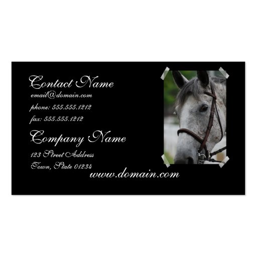 Cute Appaloosa Horse Business Card (front side)