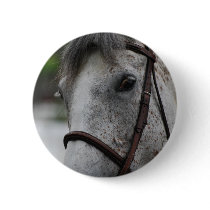 Cute Appaloosa Horse Button
