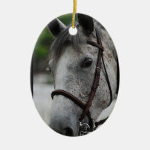 Cute Appaloosa Horse Ornament