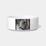 Cute Appaloosa Horse Pet Bowl Cat Food Bowls