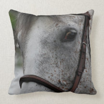 Cute Appaloosa Horse Pillow