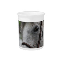 Cute Appaloosa Horse Pitcher