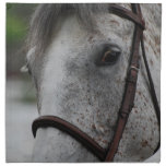 Cute Appaloosa Horse Set of Four Napkins