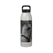 Cute Appaloosa Horse Water Bottle