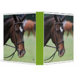 Cute Arabian Horse Binder