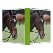 Cute Arabian Horse Binder