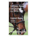 Cute Arabian Horse Business Cards