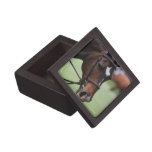Cute Arabian Horse Gift Box Premium Gift Boxes