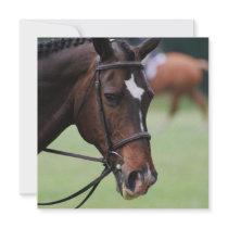 Cute Arabian Horse Invitations