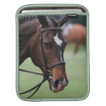 Cute Arabian Horse iPad Sleeve