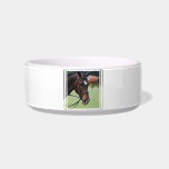 Cute Arabian Horse Pet Bowl Cat Water Bowls