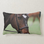 Cute Arabian Horse Pillow