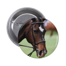 Cute Arabian Horse Pin