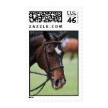 Cute Arabian Horse Postage Stamp