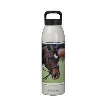 Cute Arabian Horse Water Bottle