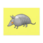 Cute armadillo postcard