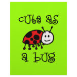 Cute as a Bug Customized Letterhead