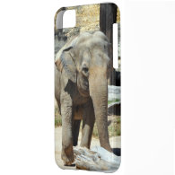Cute Asian Elephant iPhone 5 Case