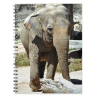 Cute Asian Elephant Note Book