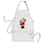 Cute Australian Christmas Santa with koala aprons