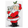 Cute Australian Christmas Santa with koala