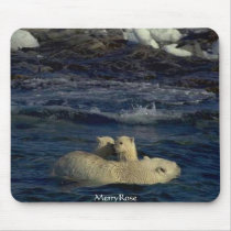 Cute Baby Bears & Mother mousepads