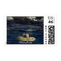 Cute Baby Bears & Mother postage