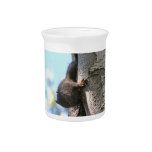 Cute Baby Black Squirrel Pitchers