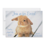 Cute Baby Bunny Easter Invitations