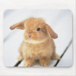 Cute Baby Bunny Happy Easter Design Mousepad