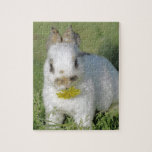 Cute Baby Bunny Rabbit Eating Flower Puzzles