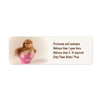 Cute Baby Chick in Easter Egg Return Address Label