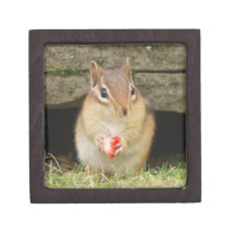 Cute Baby Chipmunk with Strawberry Premium Gift Boxes