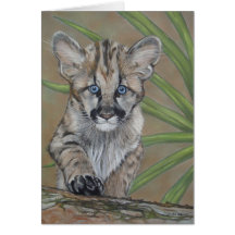 cute baby cougar kitten wildlife art card