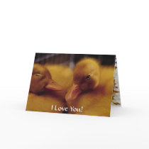 Cute baby ducks cards