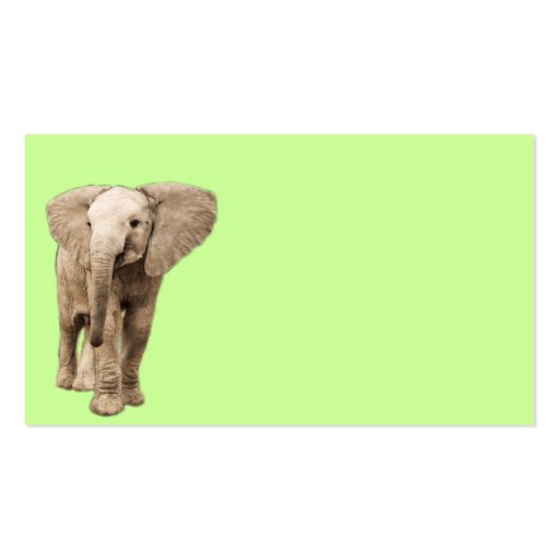 Cute Baby Elephant Business Cards (front side)