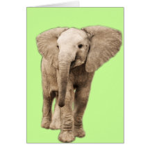 Cute Baby Elephant Card